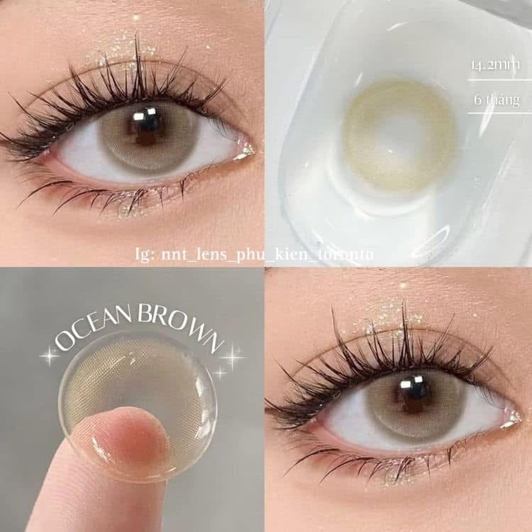 Contact Lens - Ocean Brown
