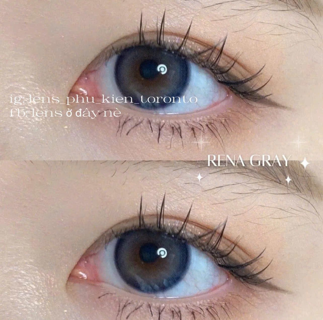 Contact Lens - Rena Gray