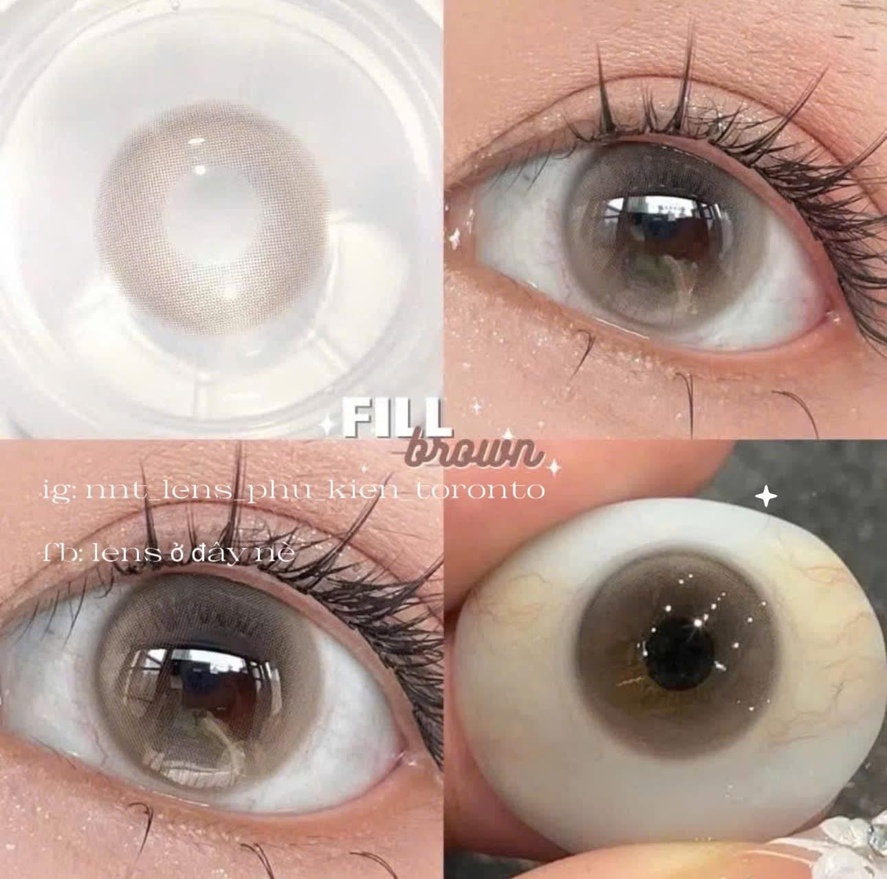 Contact Lens - Fill Brown