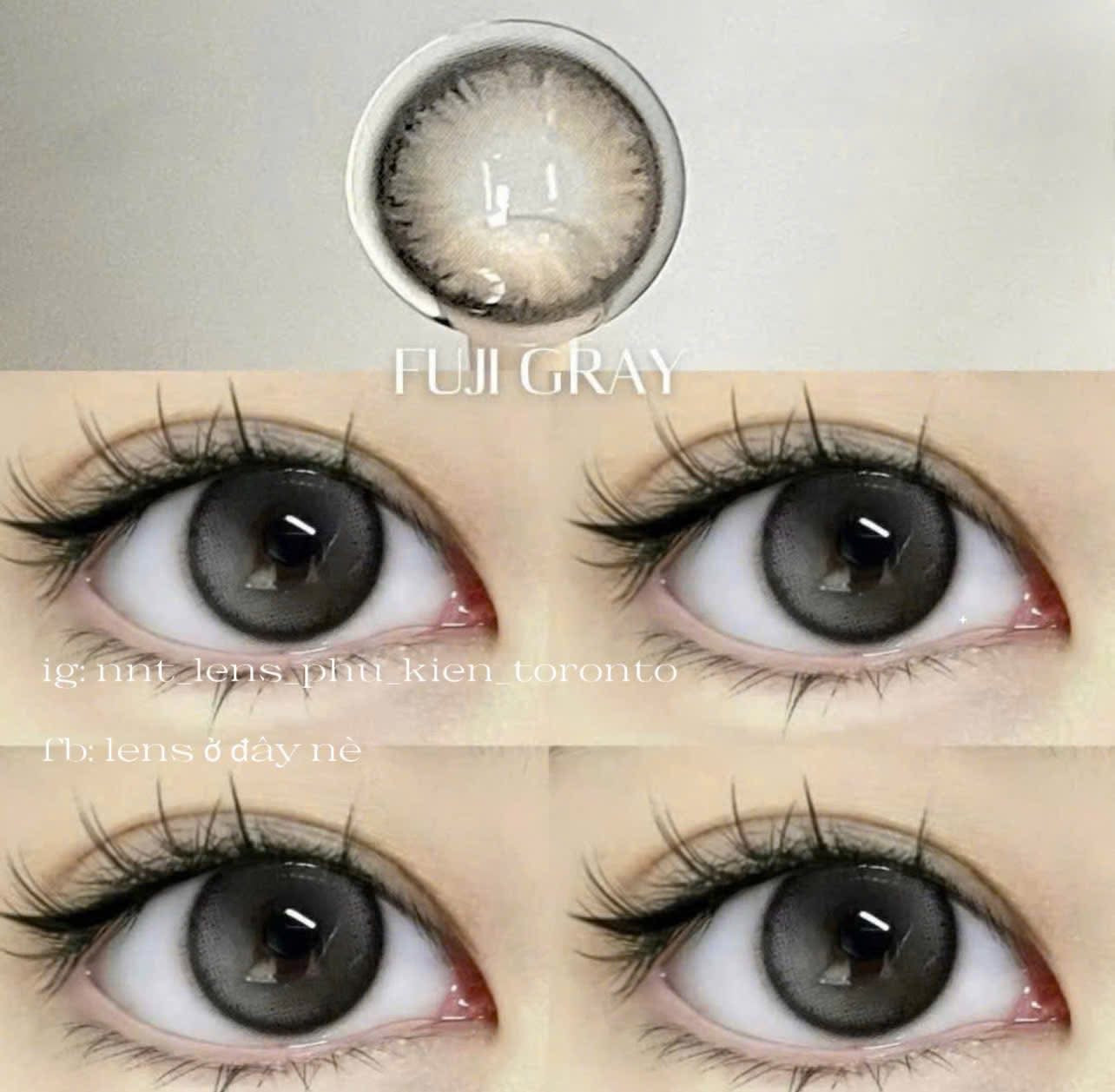 Contact Lens - Fuji Gray