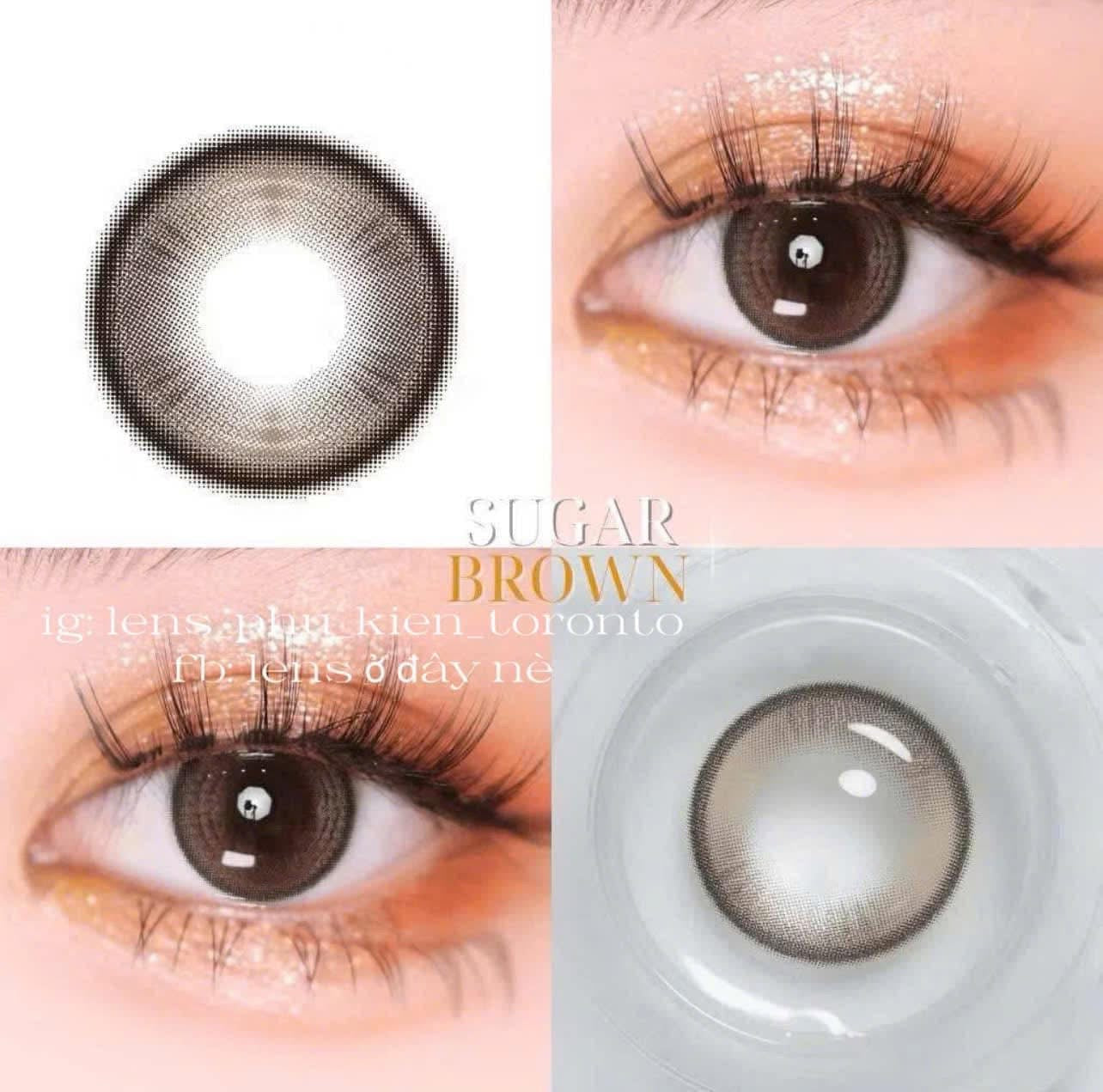 Contact Lens - Sugar Brown