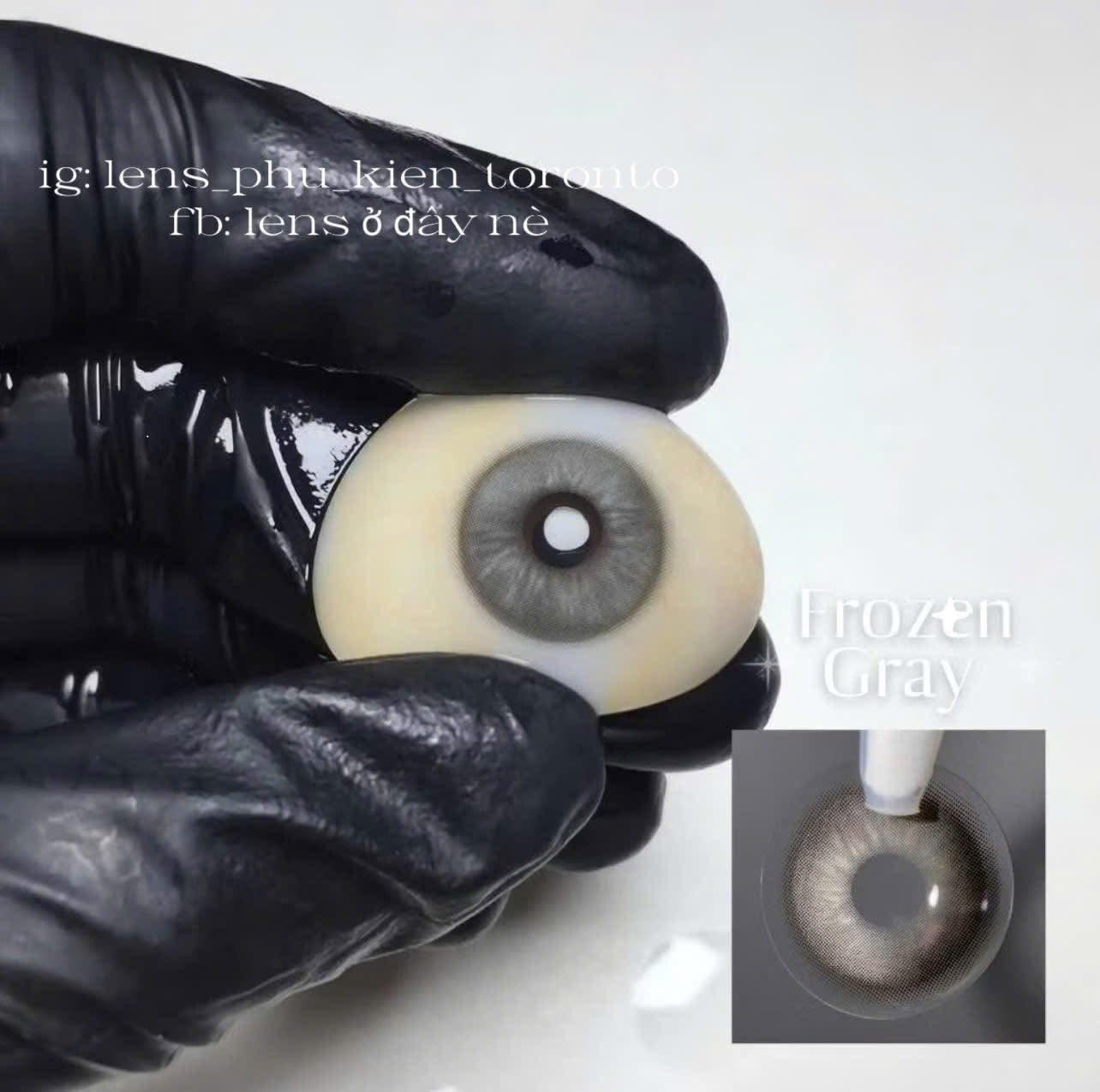 Contact Lens - Frozen Gray