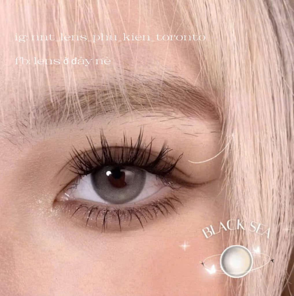 Contact Lens - Black Sea