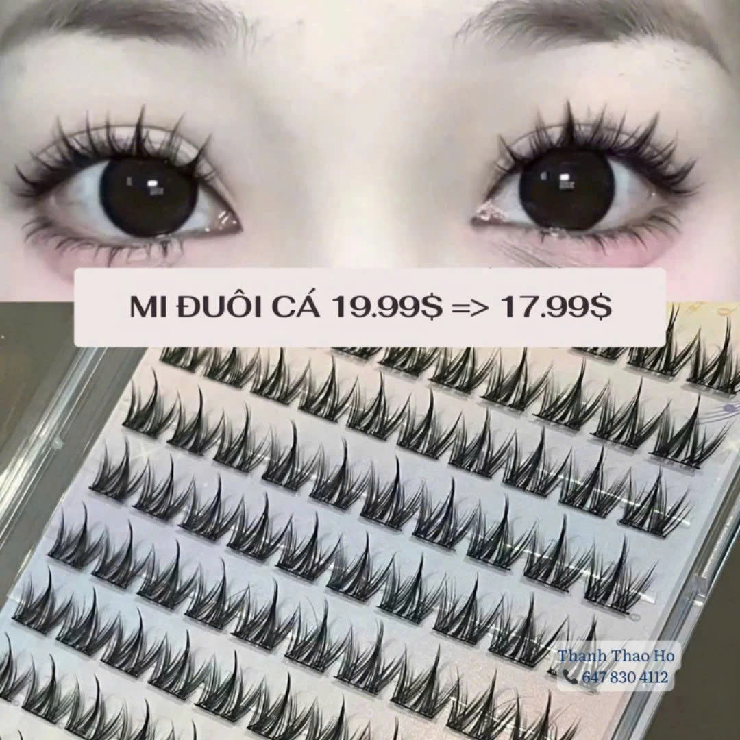 Tổng hợp các mẫu mi giả có sẵn