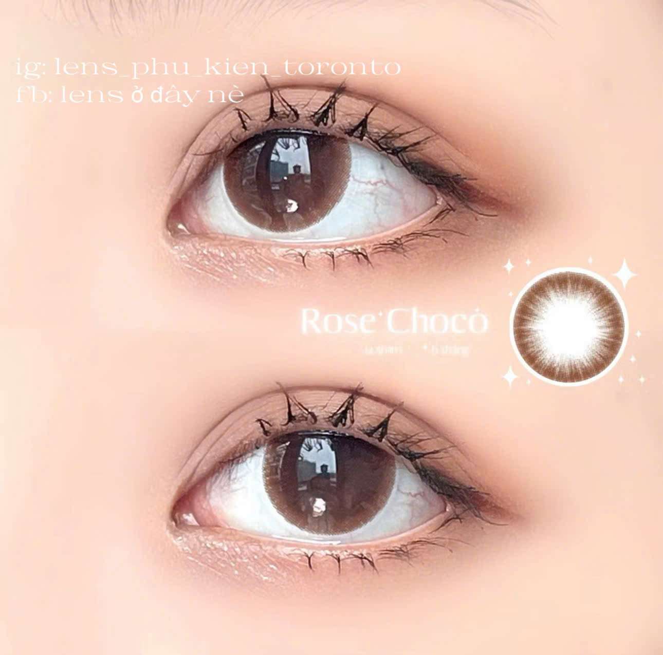 Contact Lens - Rose Choco