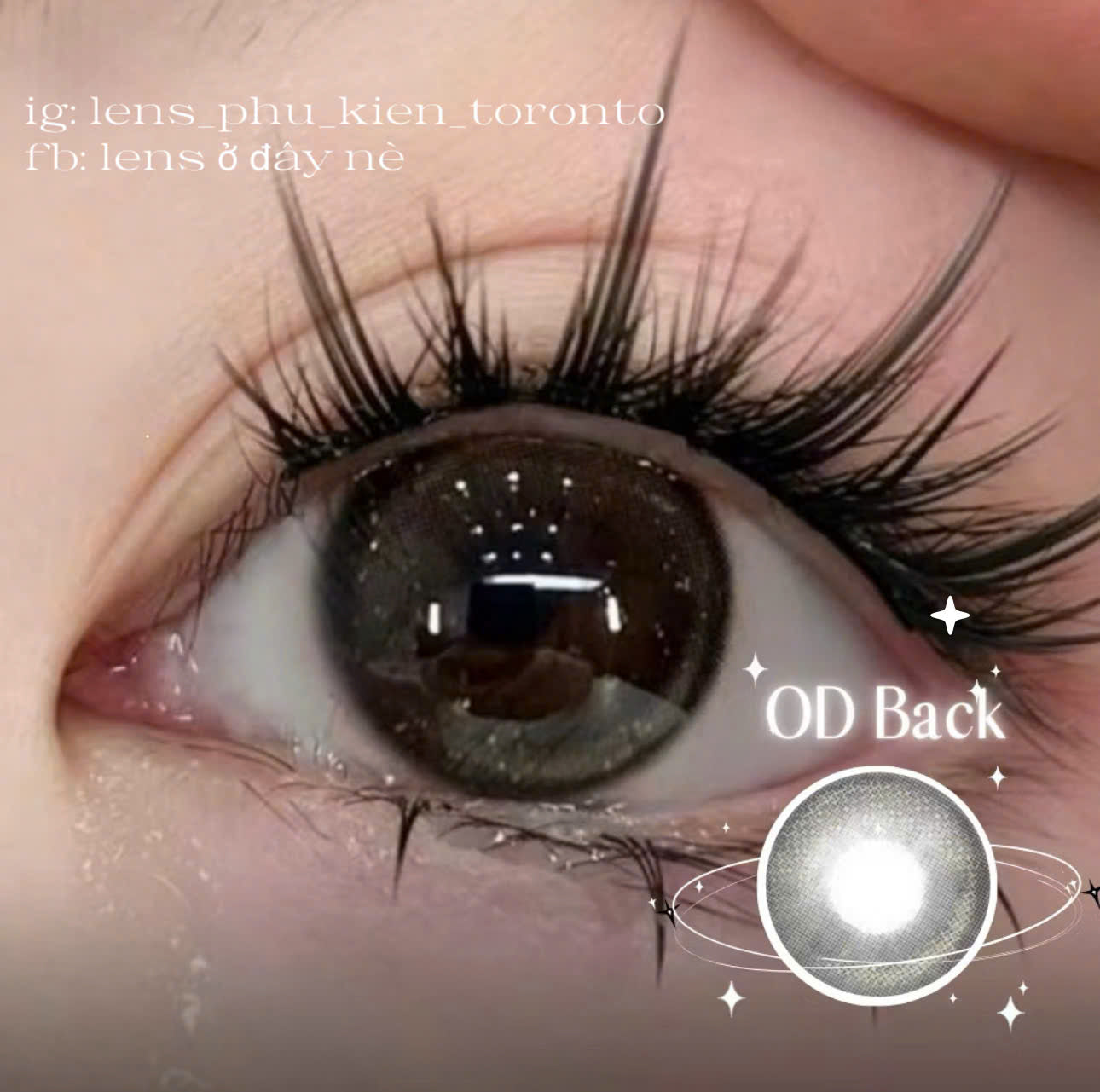 Contact Lens - OD Black