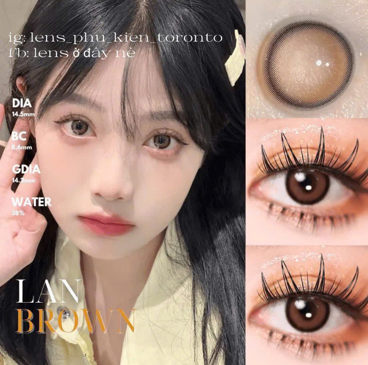 Contact Lens - Lan Brown