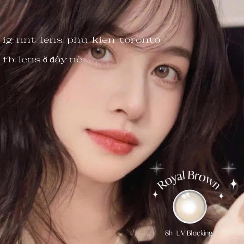 Contact Lens - Royal Brown