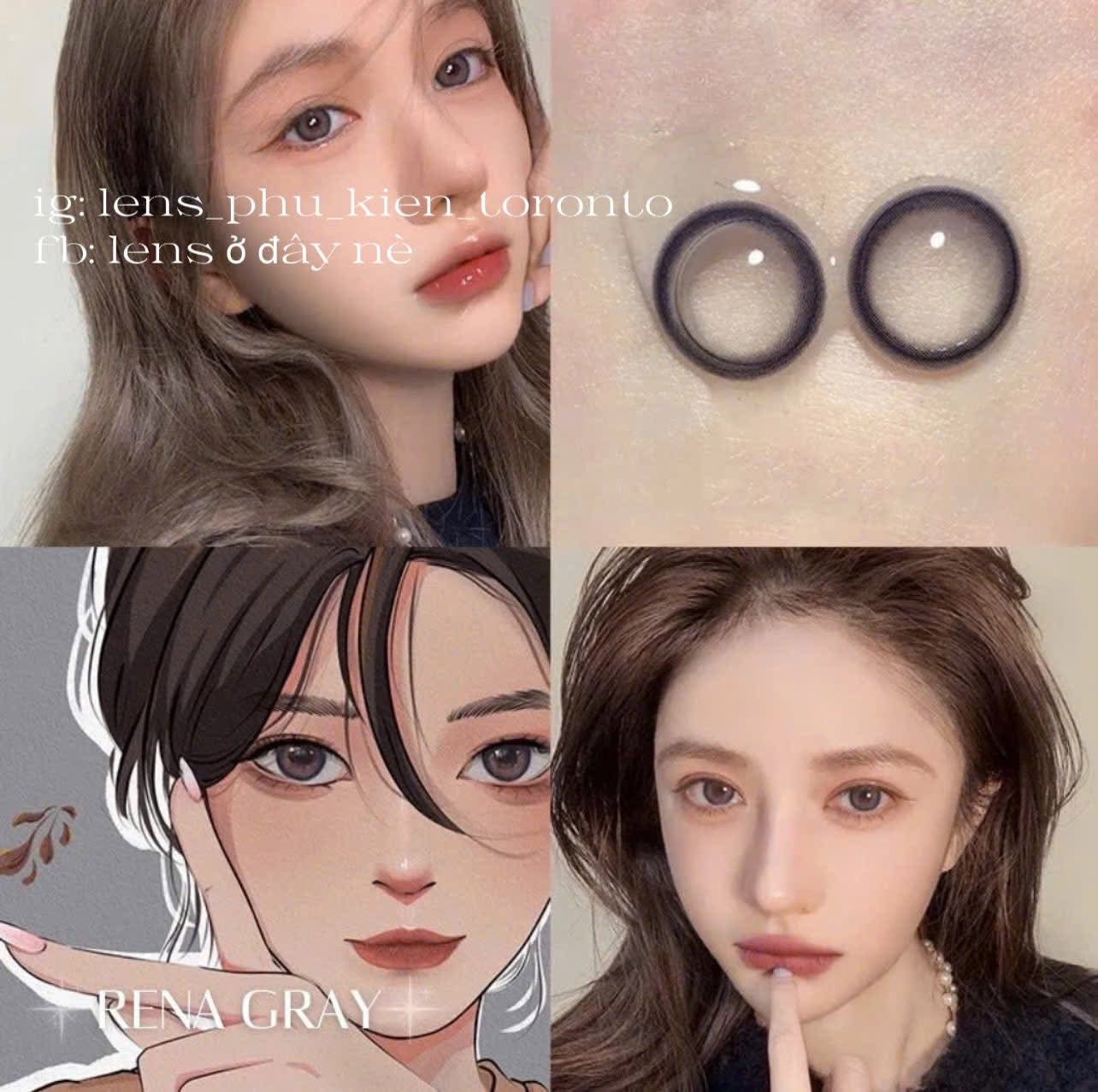 Contact Lens - Rena Gray