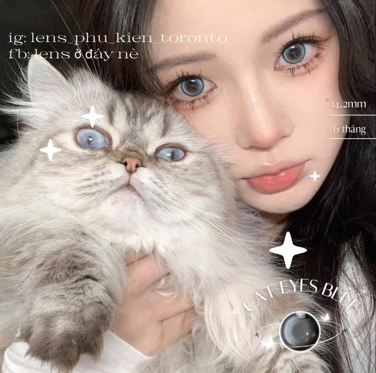 Contact Lens - Cat Eyes Blue