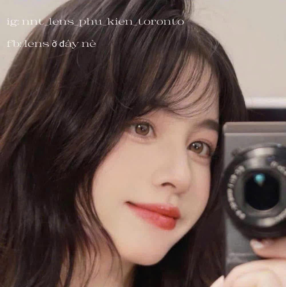 Contact Lens - Royal Brown