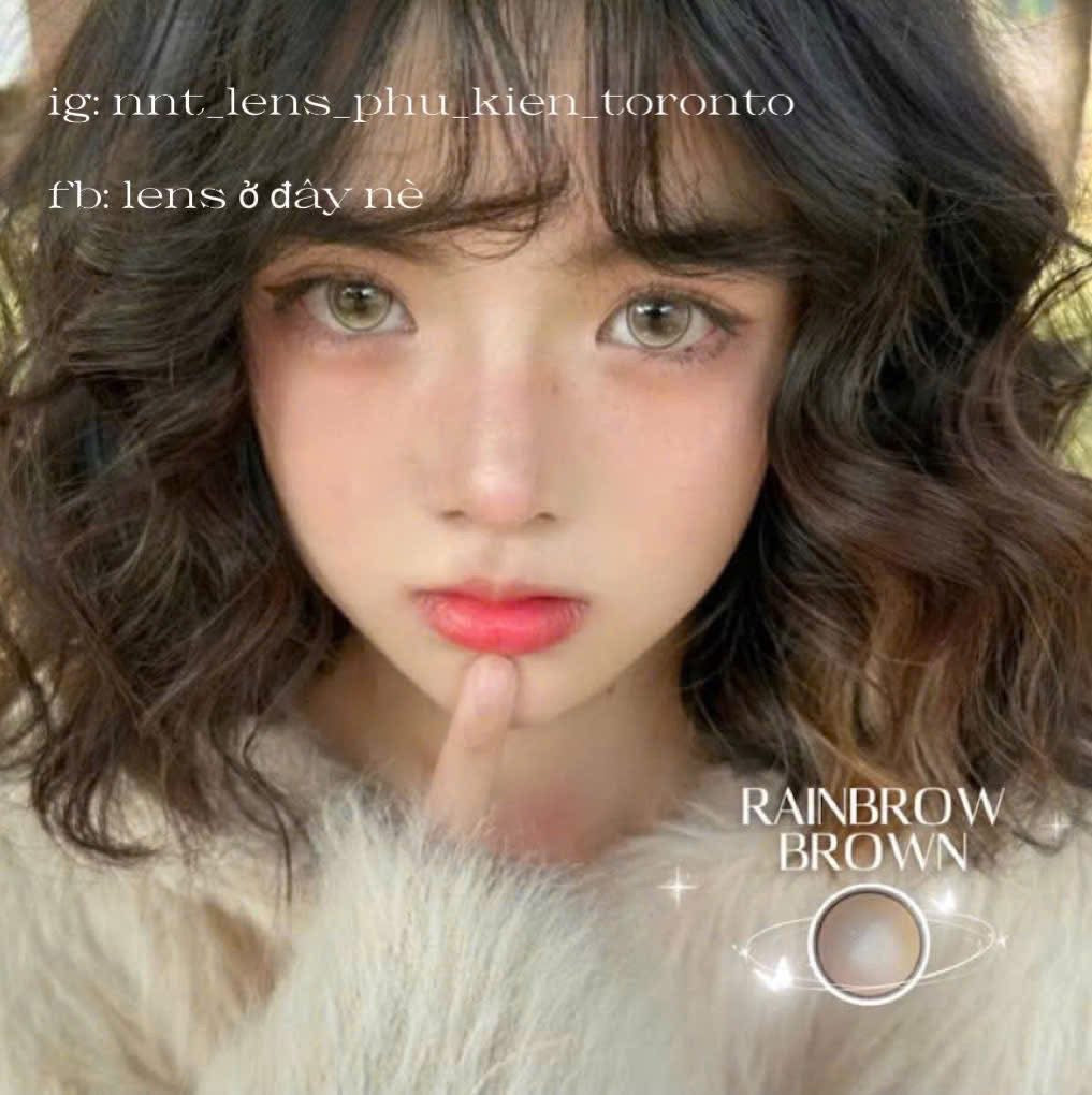 Contact Lens - Rainbrow Brown