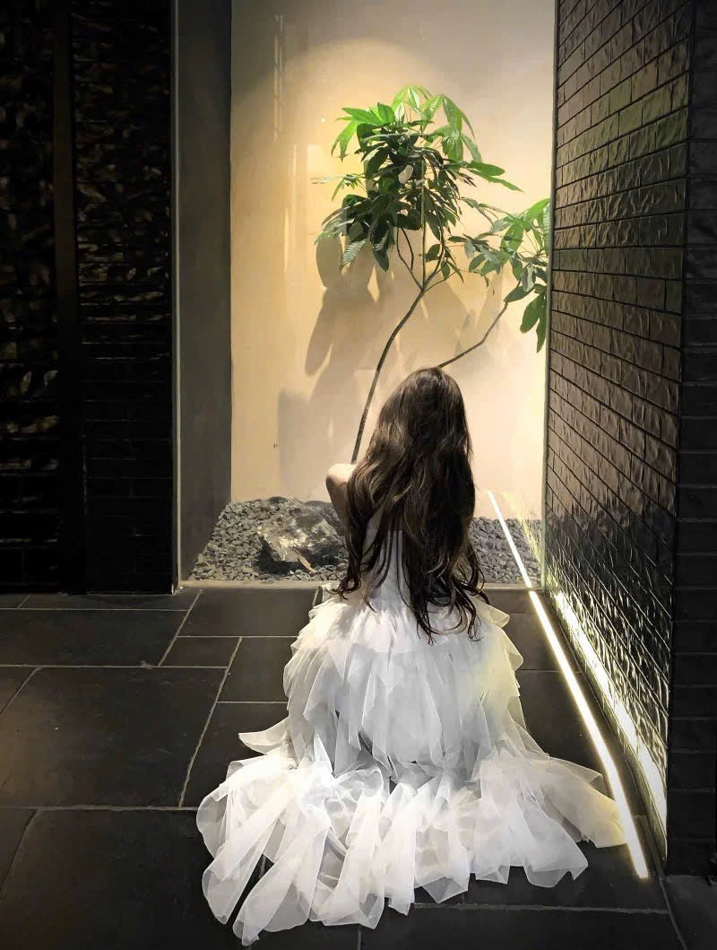 Đầm trắng phối voan tinh khôi