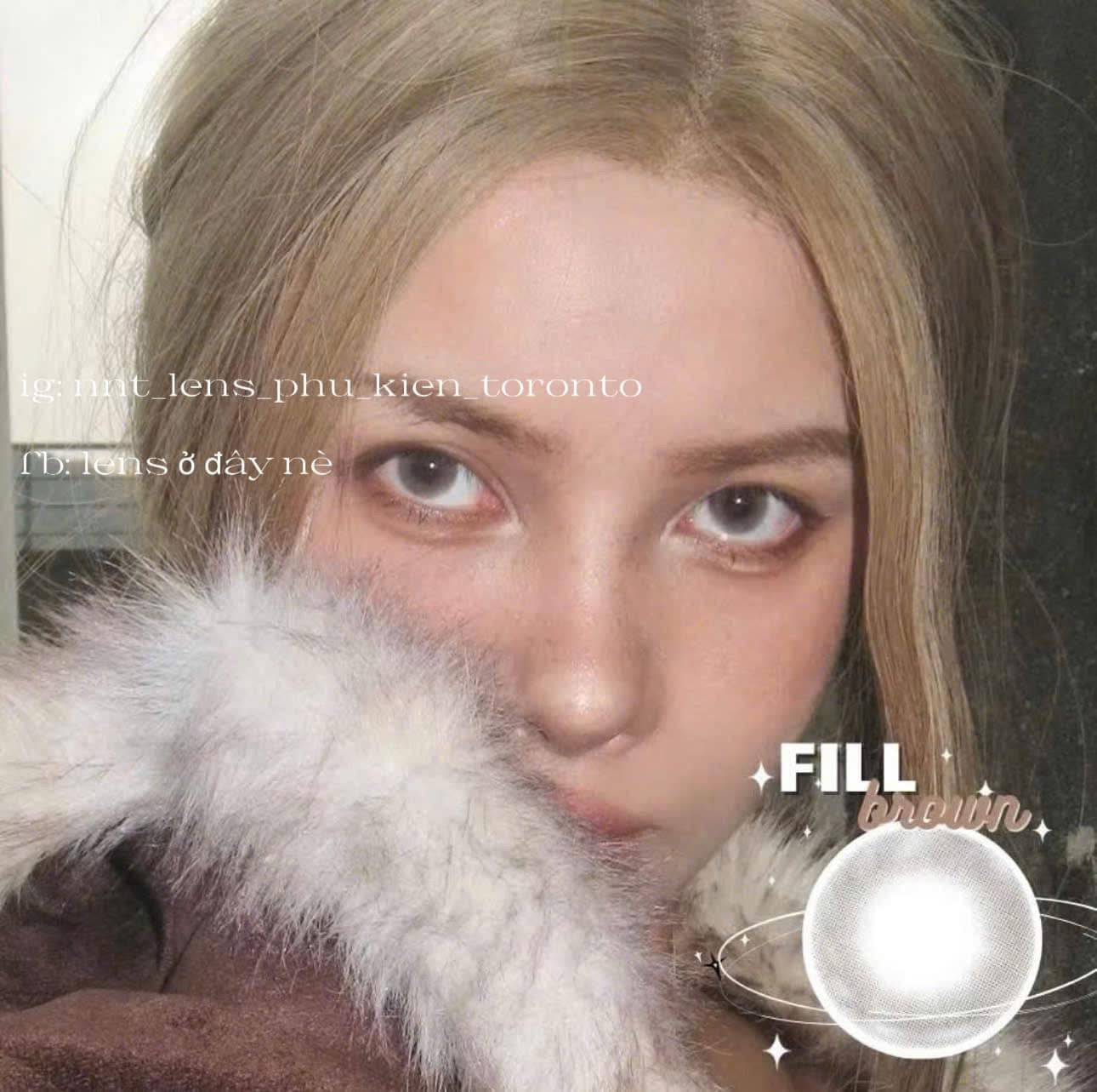 Contact Lens - Fill Brown