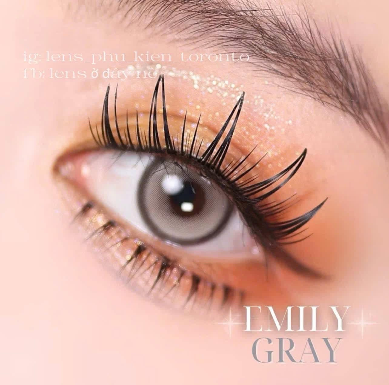 Contact Lens - Emily Gray