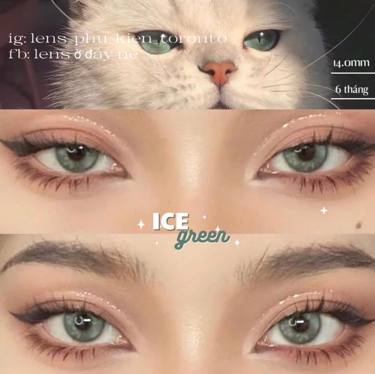 Contact lens - Ice Green