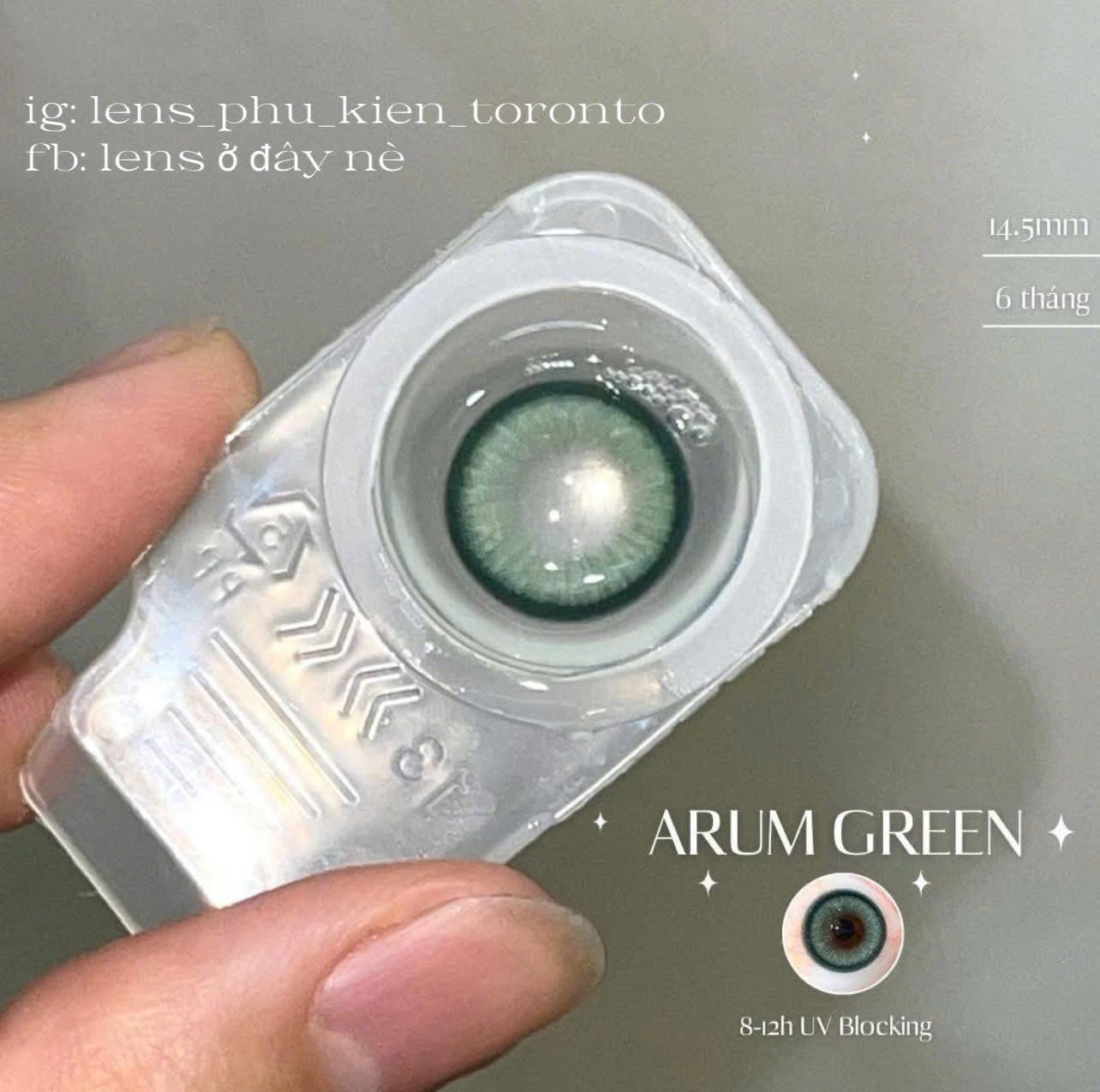 Contact Lens - Arum Green