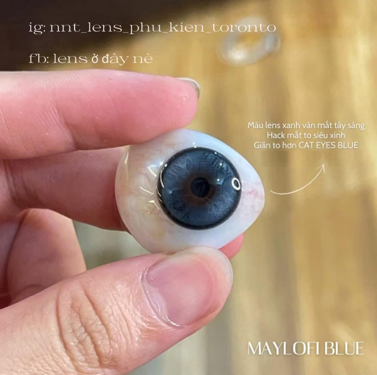 Contact Lens - Maylofi Blue