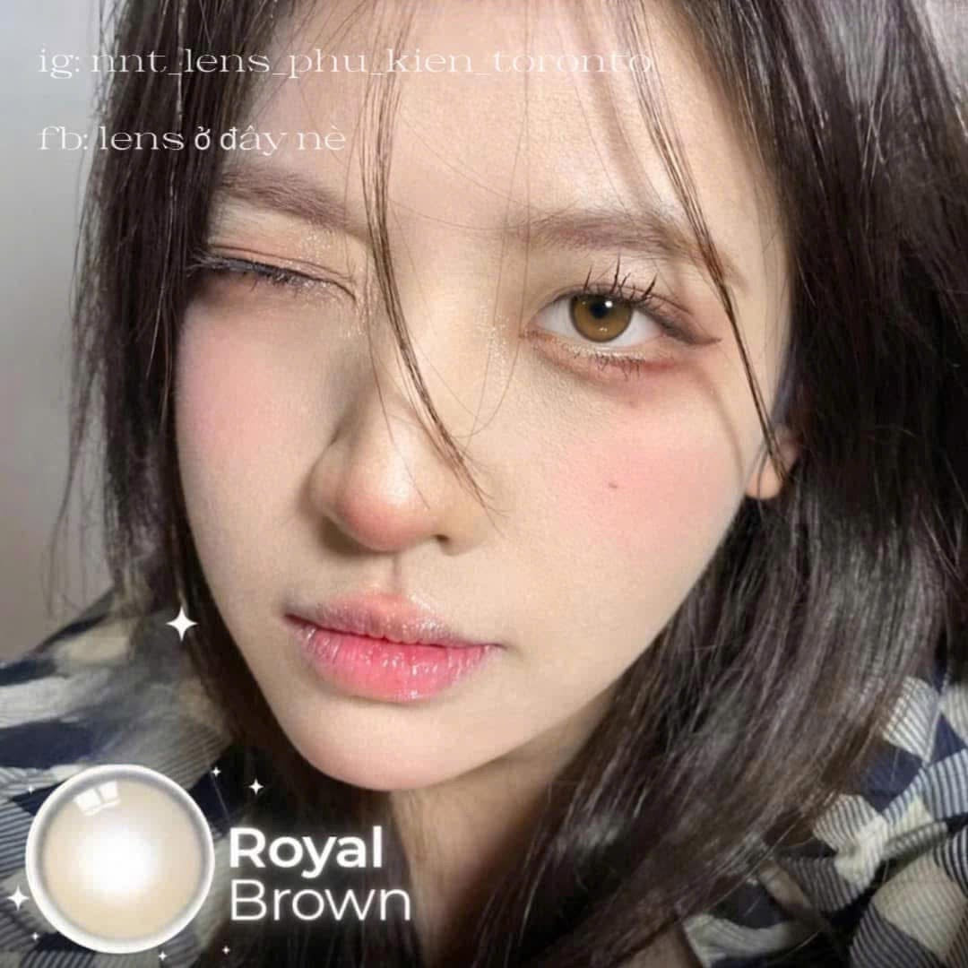 Contact Lens - Royal Brown