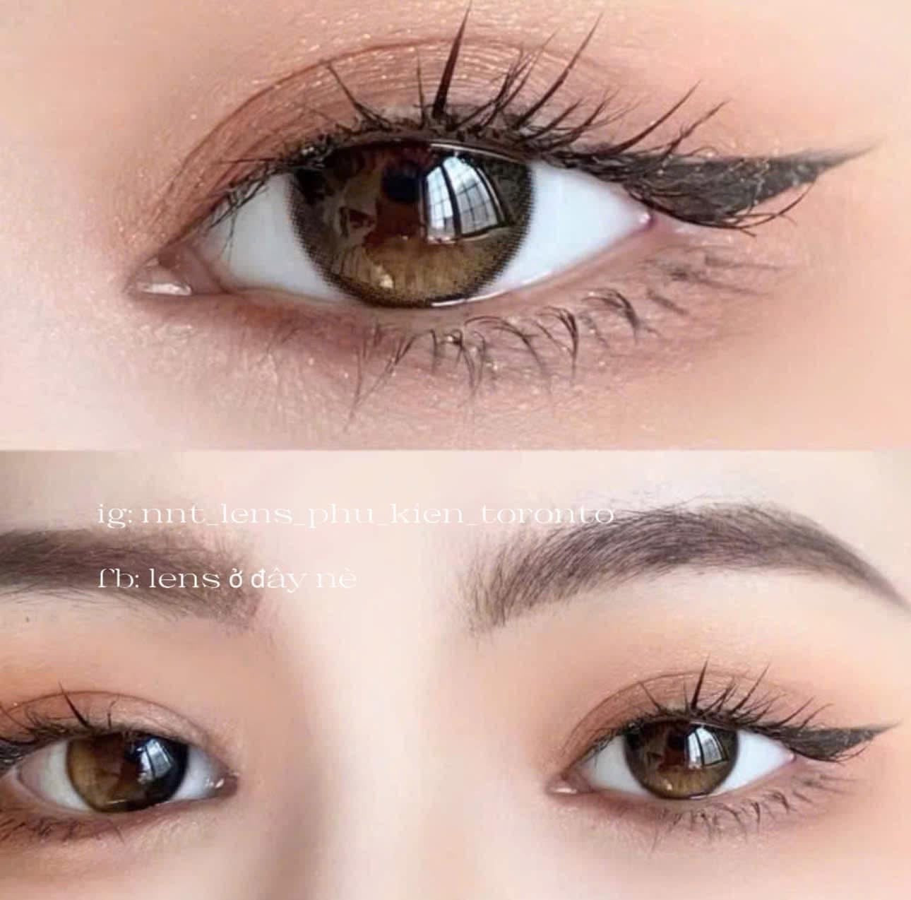 Contact Lens - Sunset Moonlight Brown
