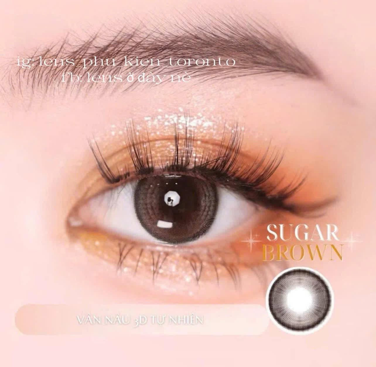Contact Lens - Sugar Brown