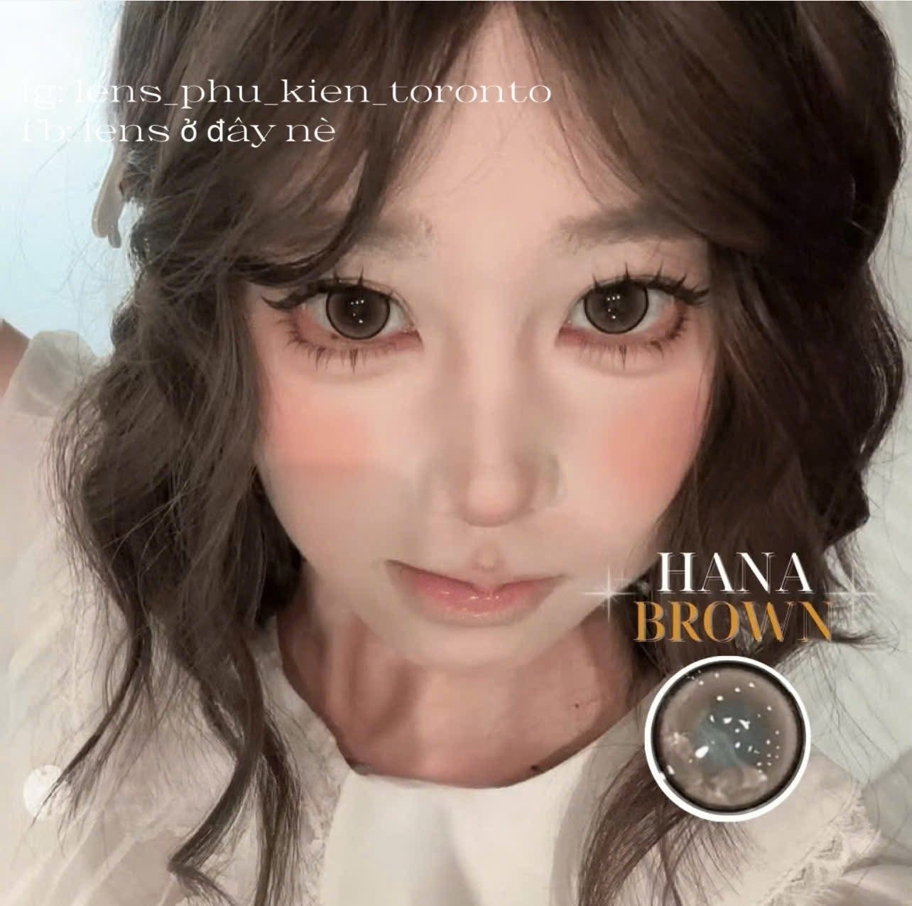 Contact Lens - Hana Brown