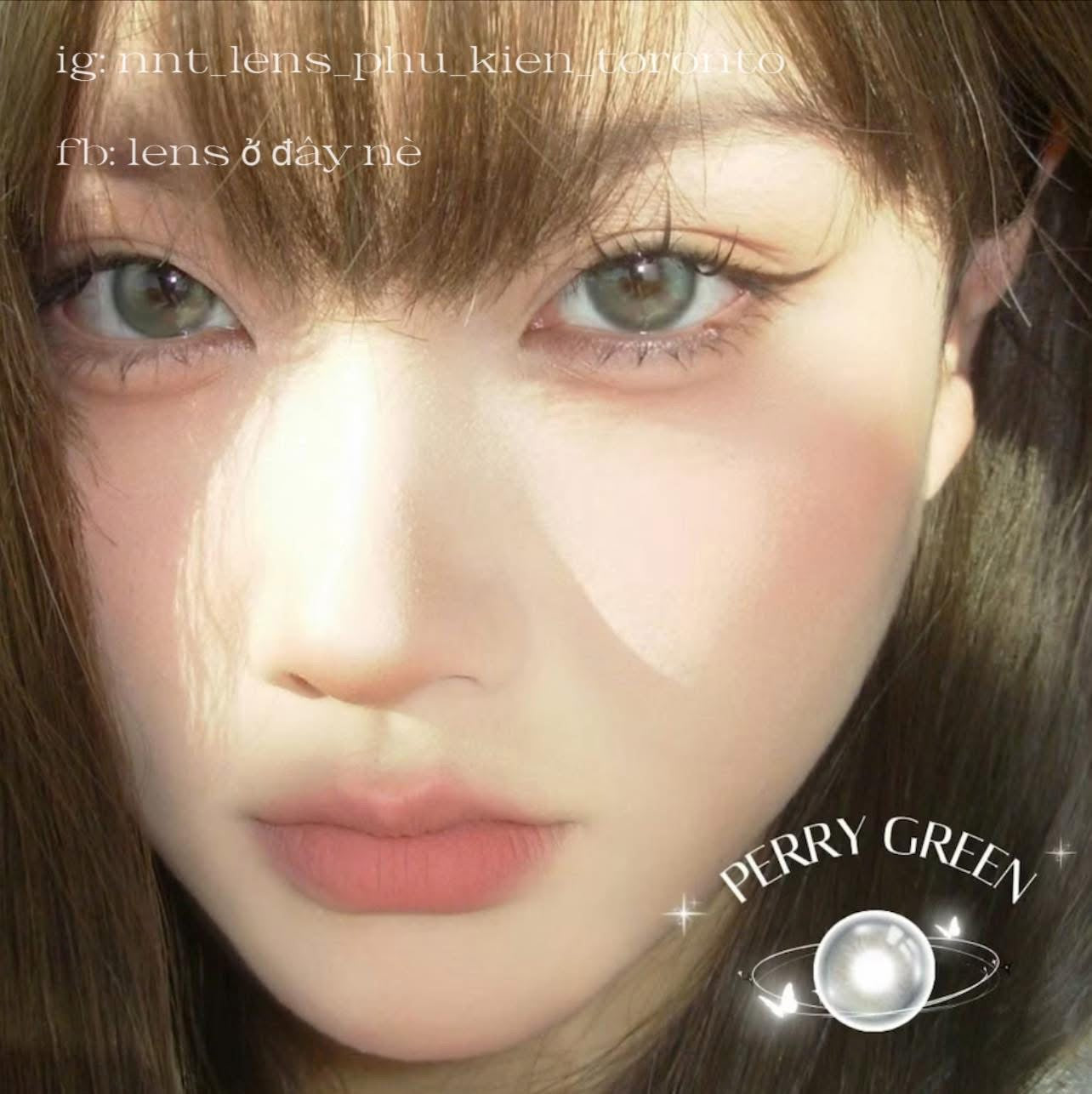 Contact Lens - Perry Green