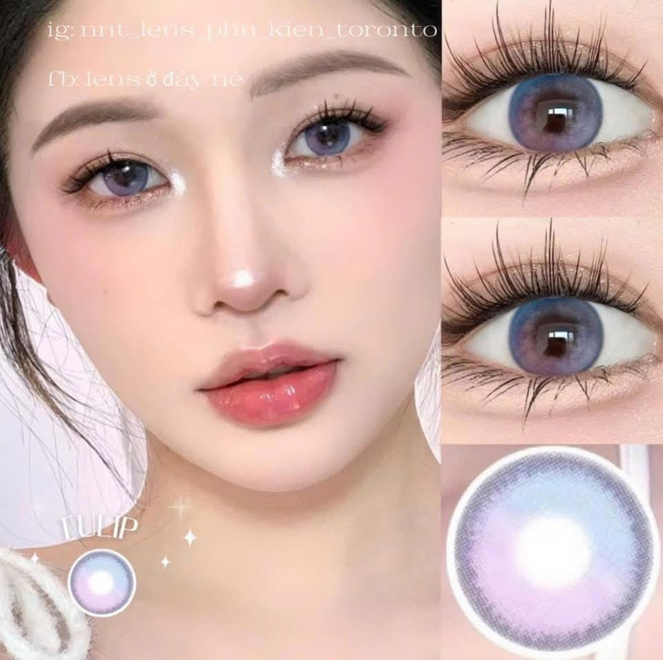 Contact Lens - Tulip Violet S