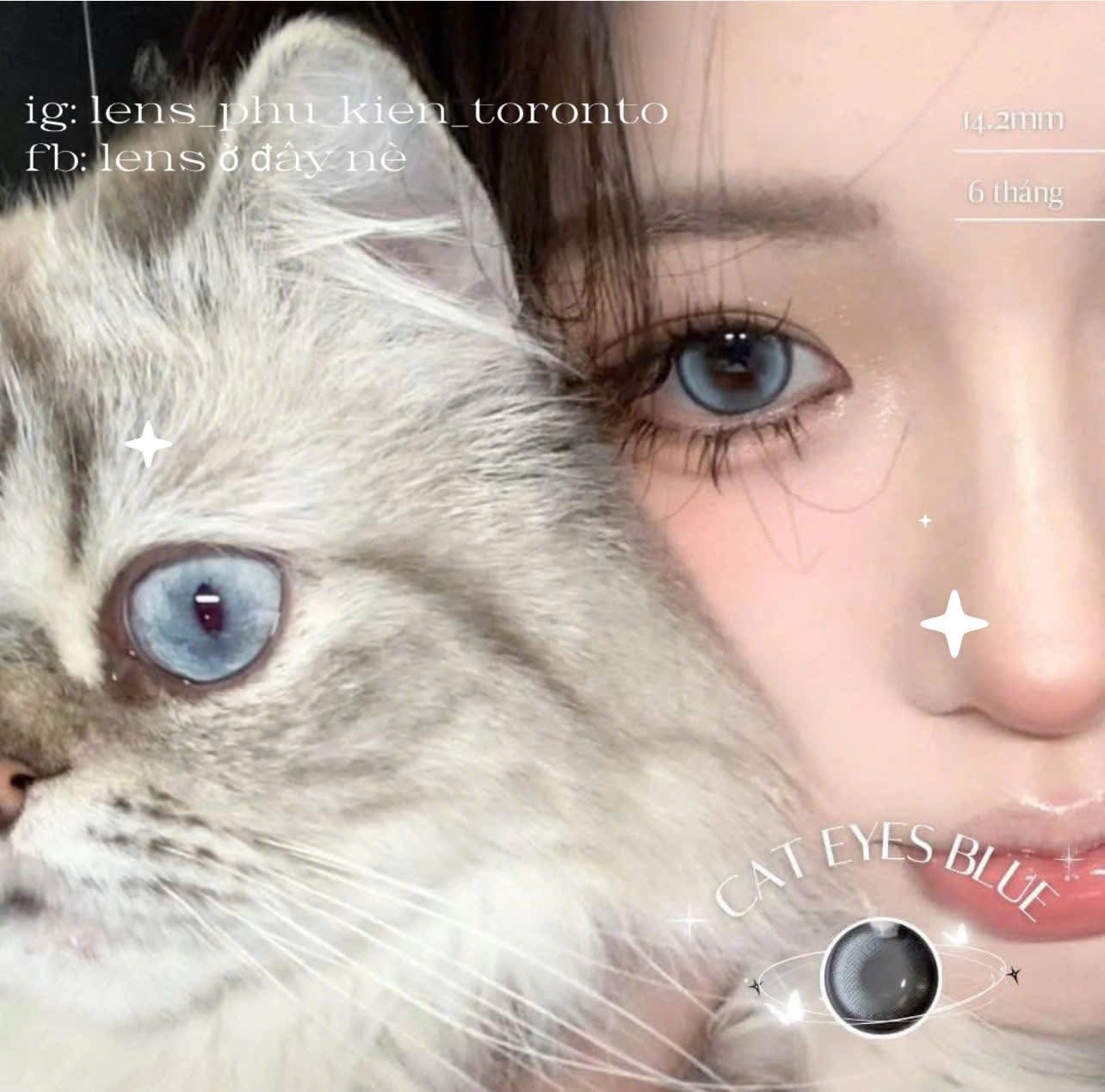 Contact Lens - Cat Eyes Blue