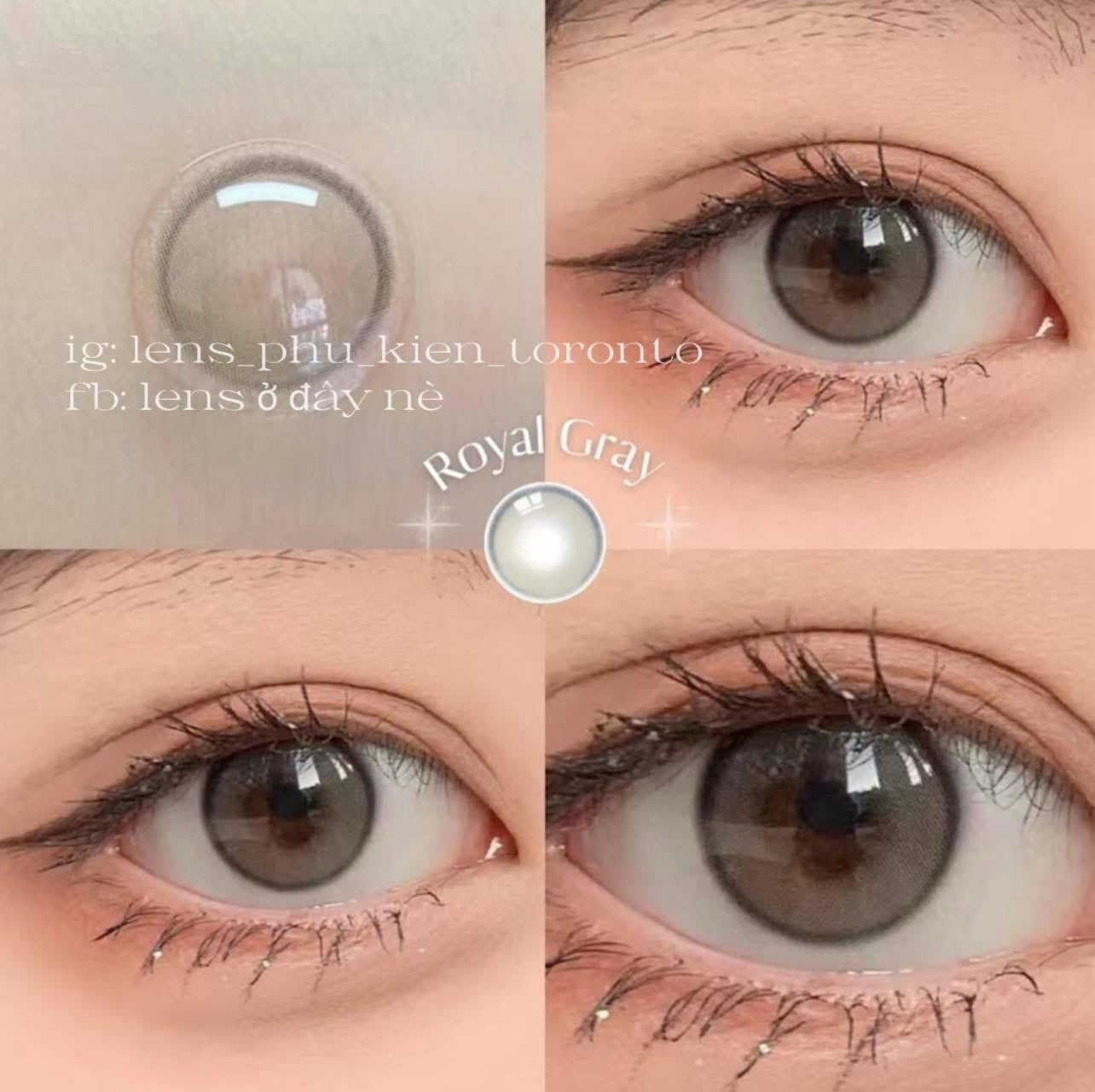 Contact Lens - Royal Gray