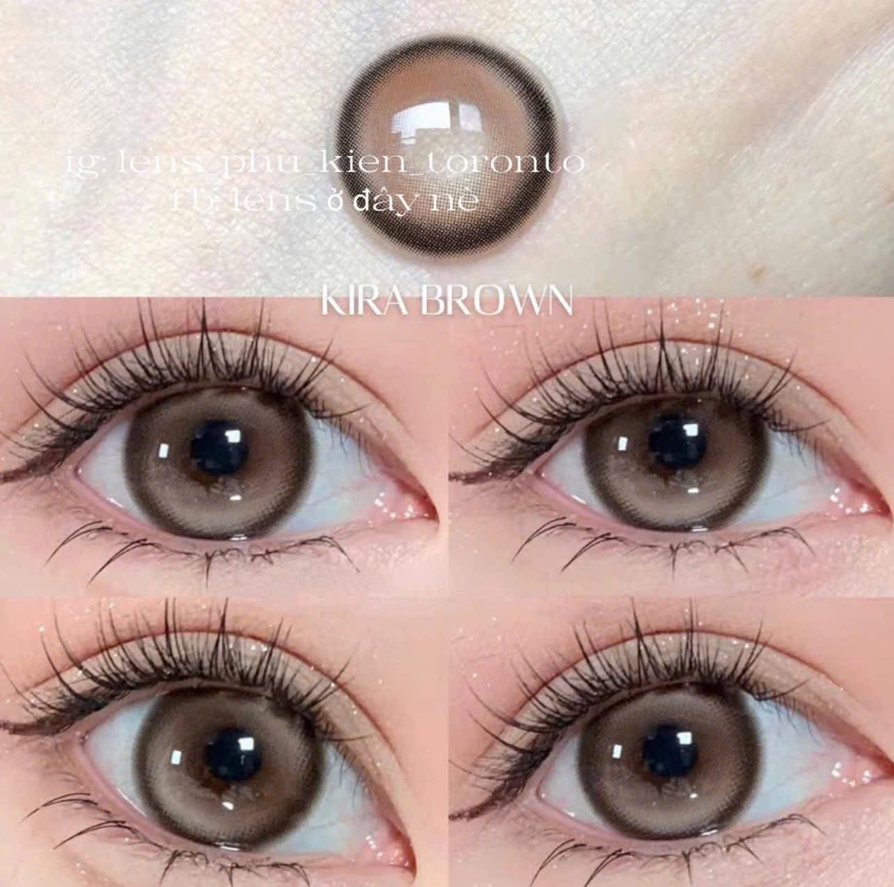 Contact Lens - Kira Brown
