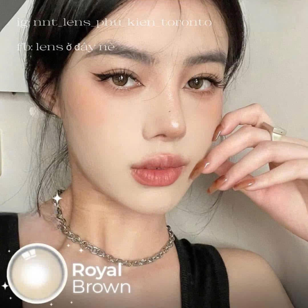 Contact Lens - Royal Brown
