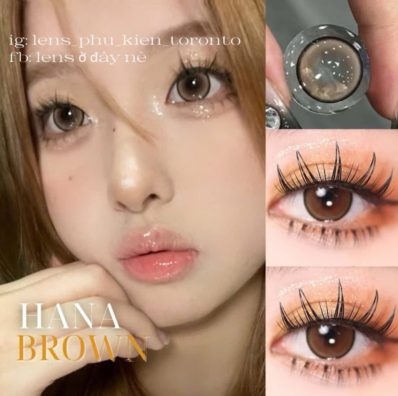 Contact Lens - Hana Brown