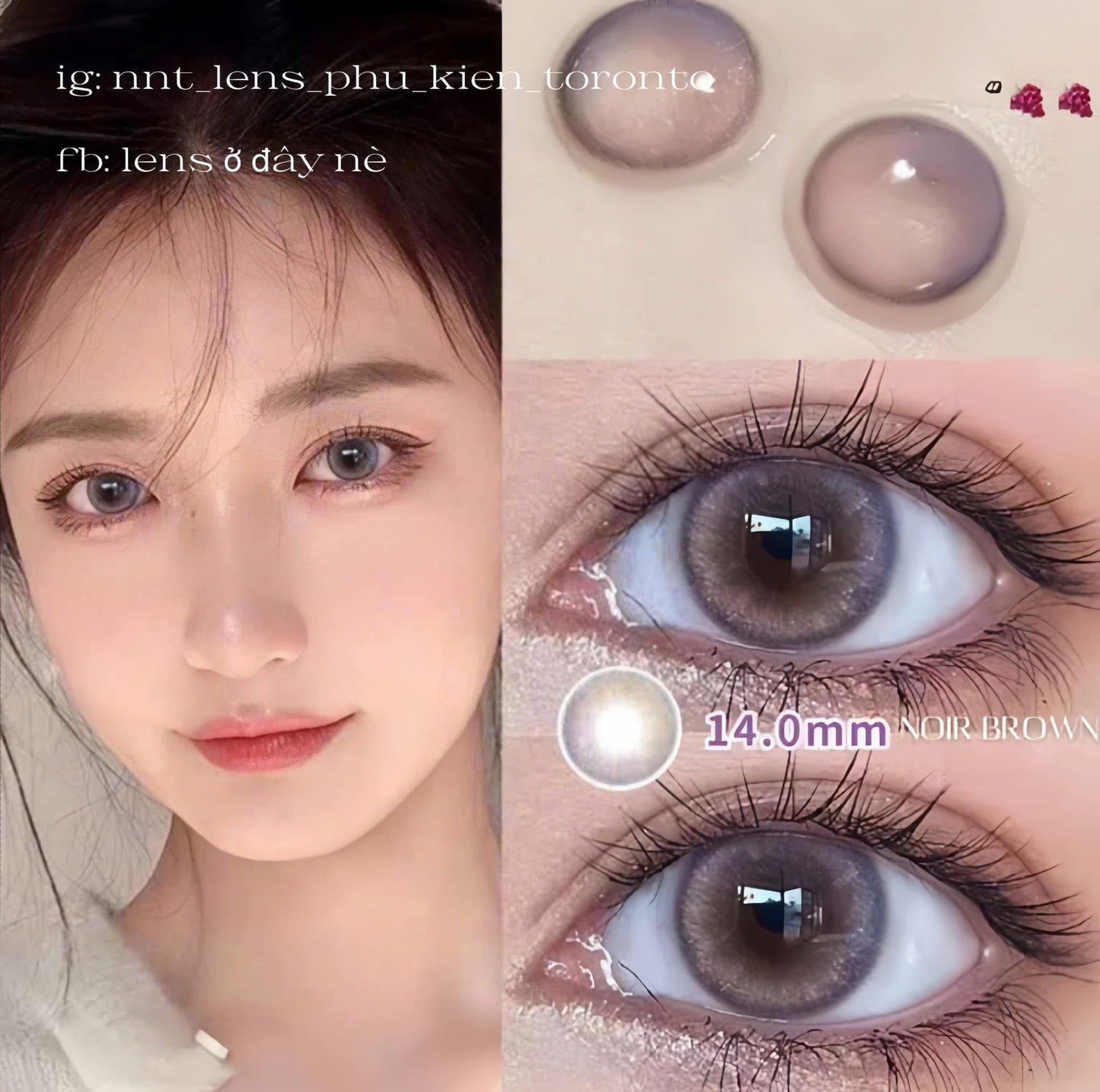 Contact Lens - Noir Brown