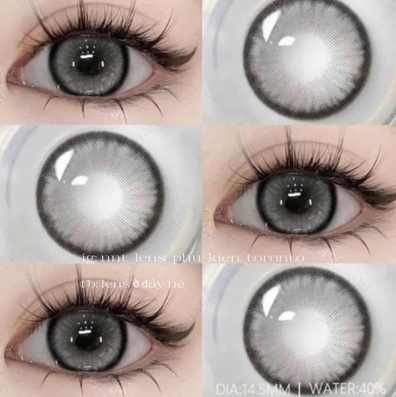 Contact Lens - Dayane Gray