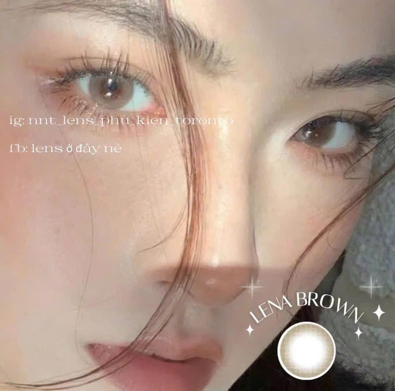 Contact Lens - Lena Brown