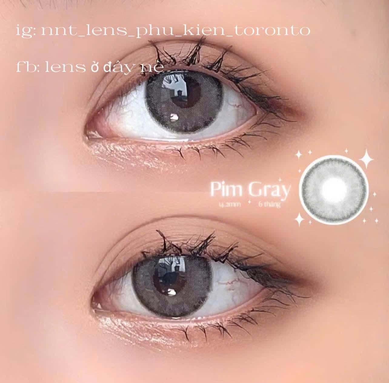 Contact Lens - Pim Gray