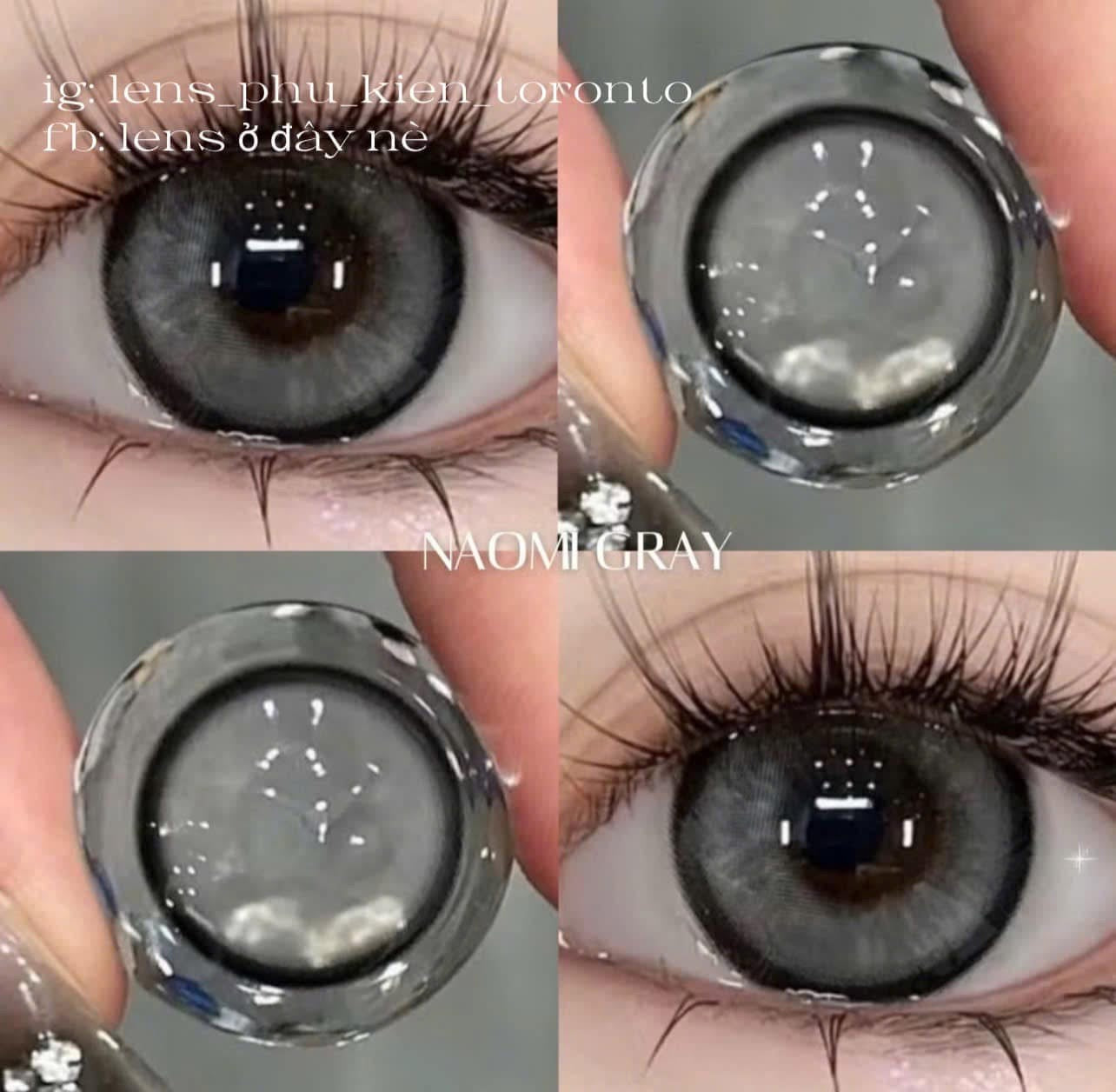 Contact Lens - Naomi Gray