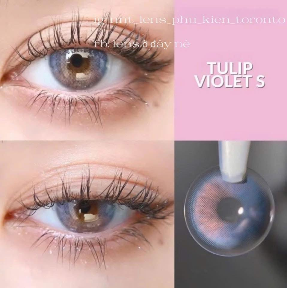 Contact Lens - Tulip Violet S