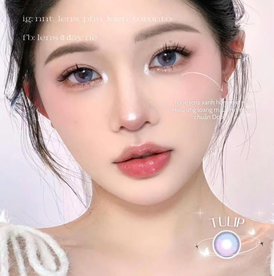 Contact Lens - Tulip Violet S
