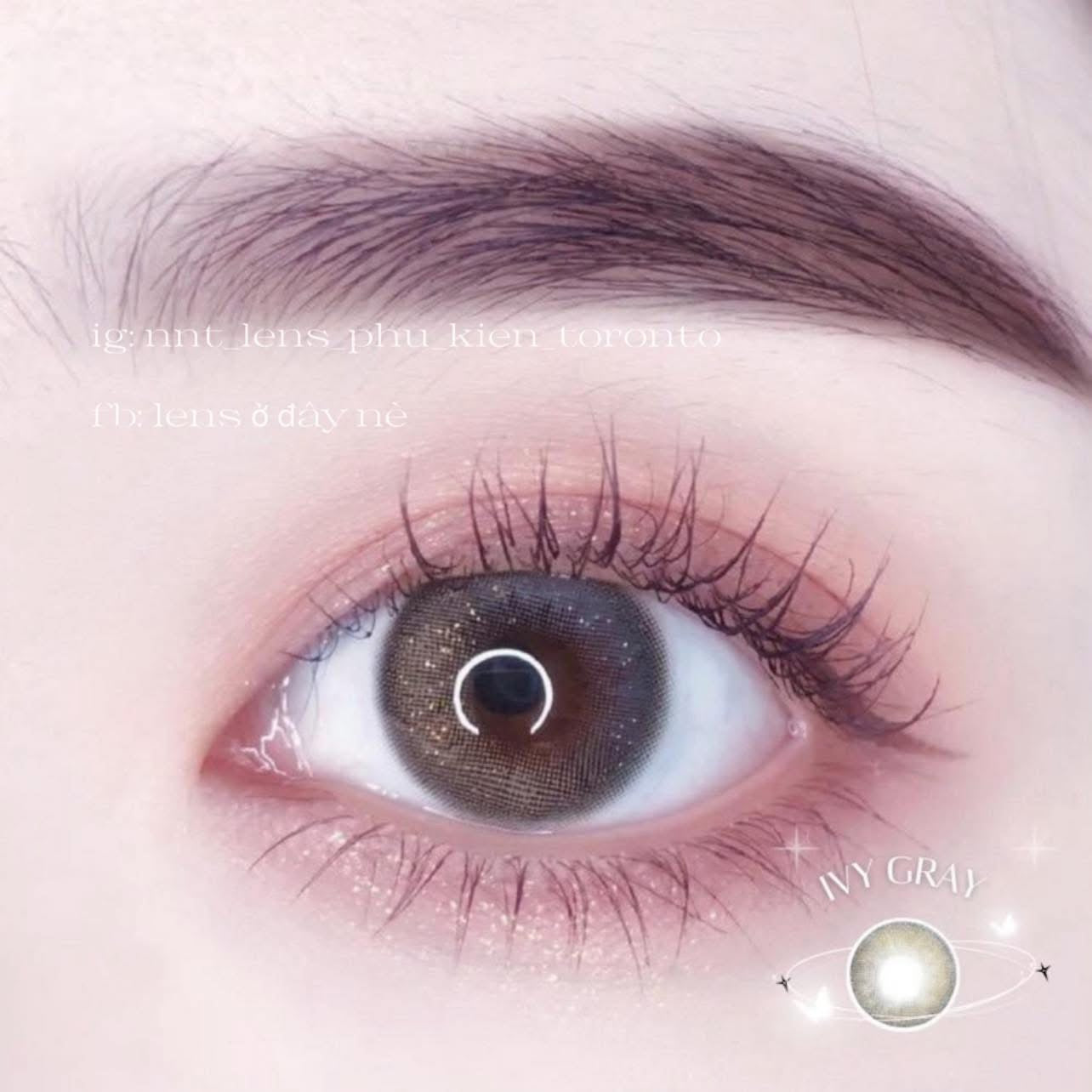 Contact Lens - Ivy Gray