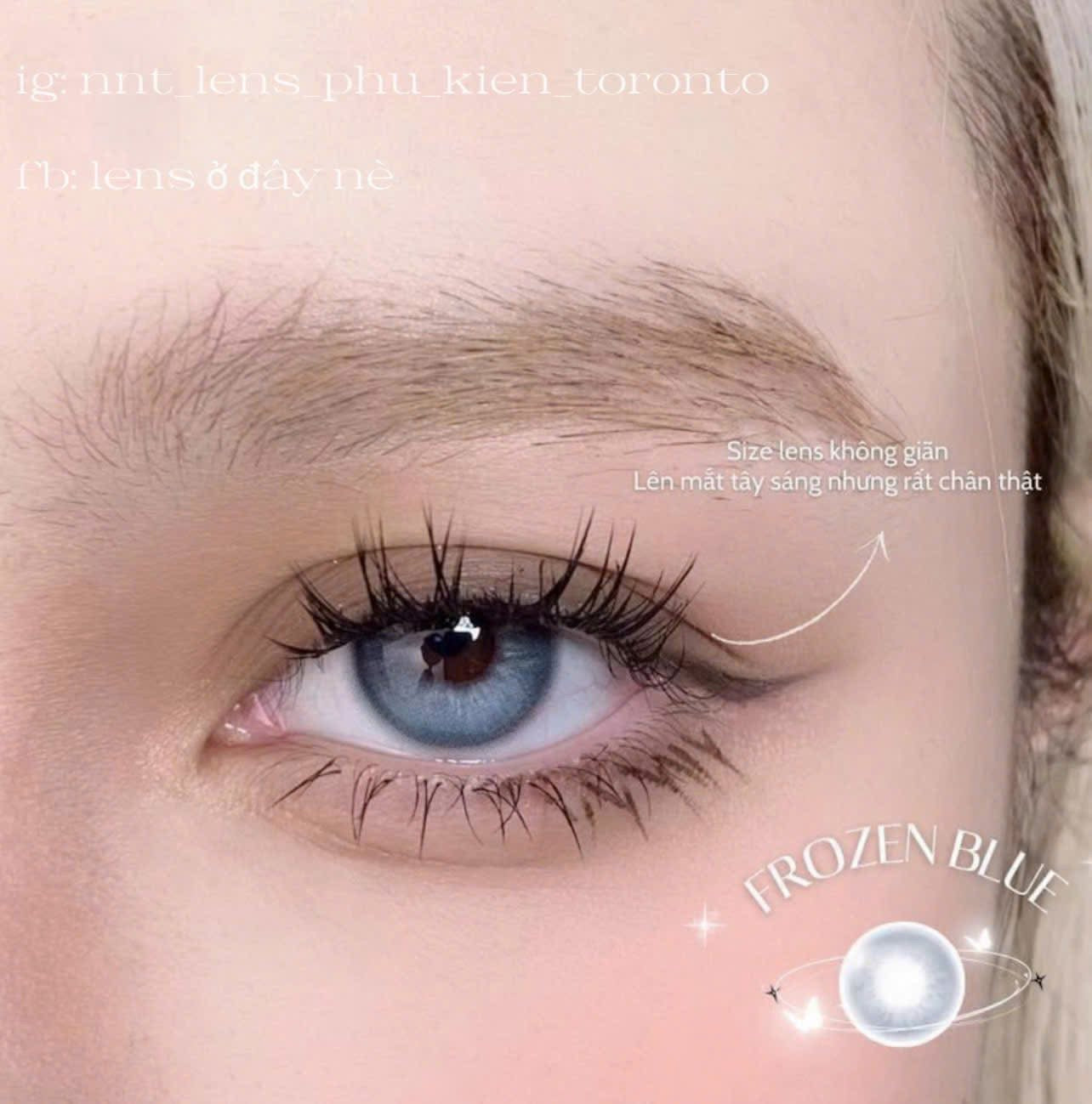 Contact Lens - Frozen Blue