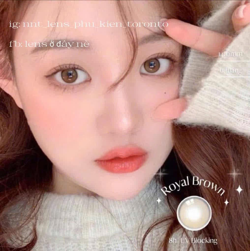 Contact Lens - Royal Brown
