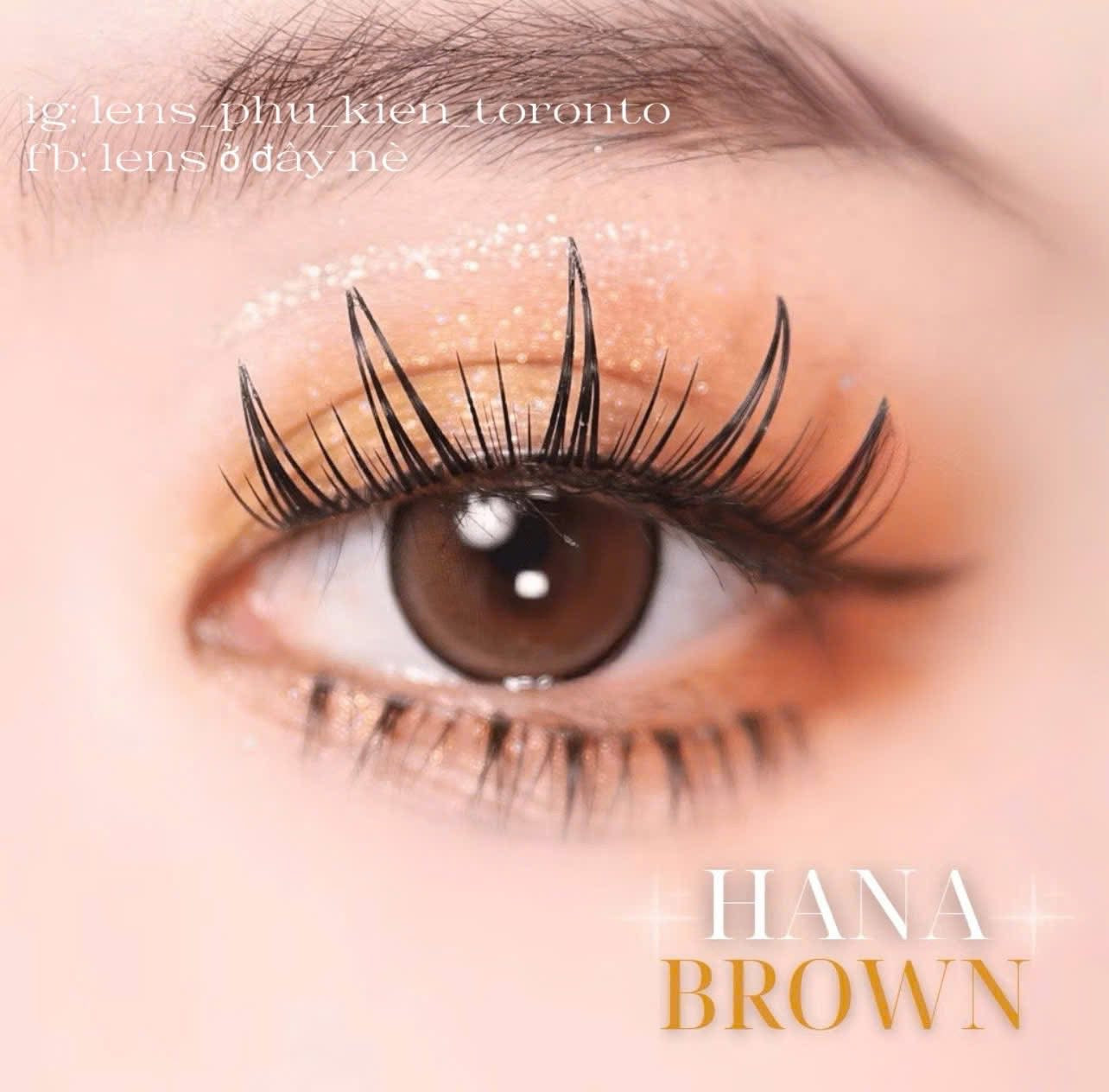 Contact Lens - Hana Brown