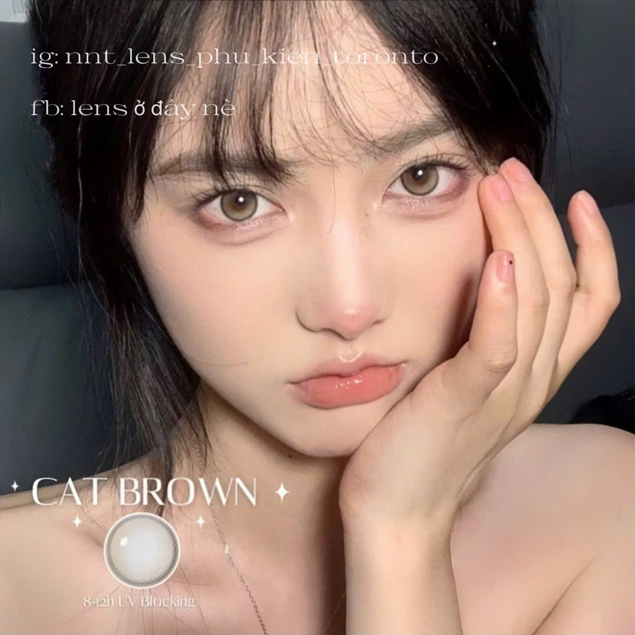Contact Lens - Cat Brown