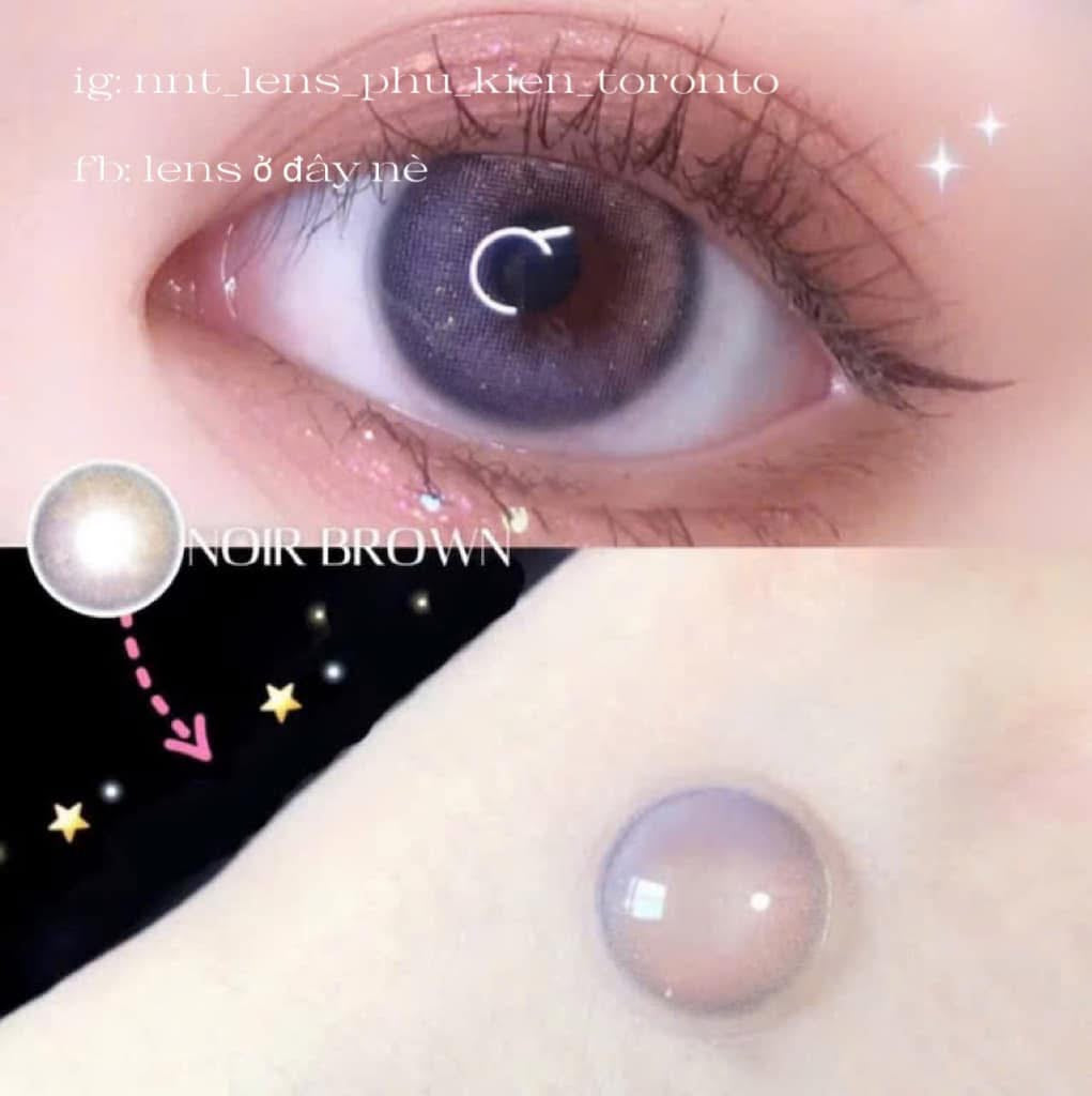 Contact Lens - Noir Brown