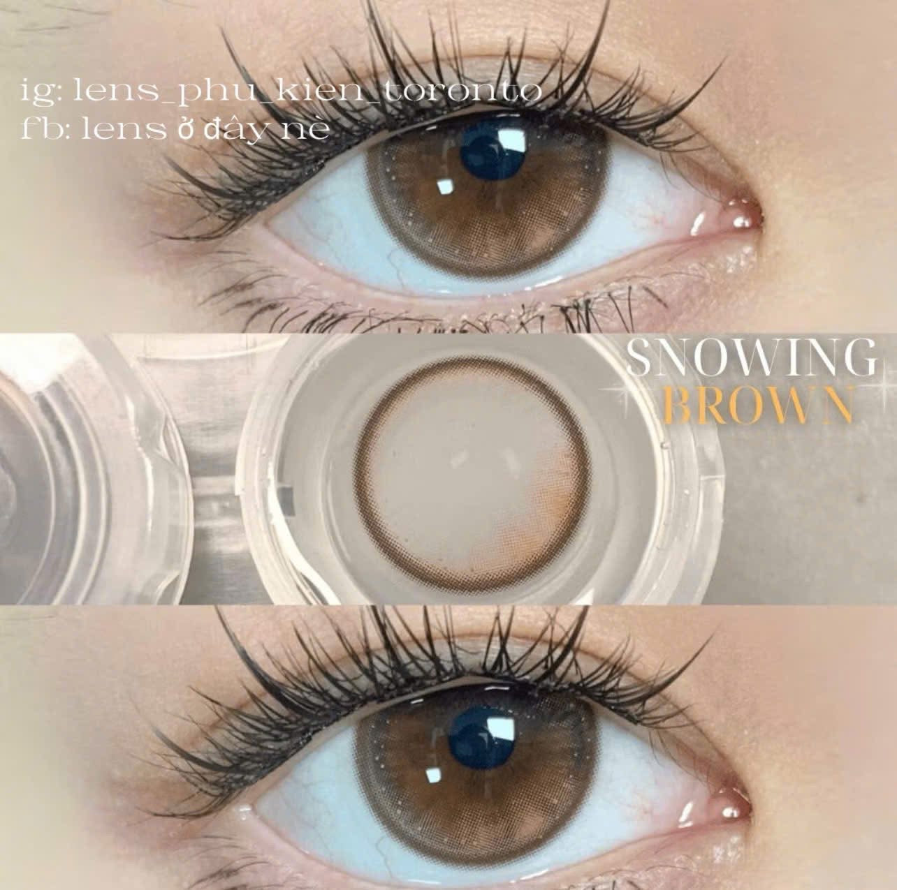 Contact Lens - Snowing Brown
