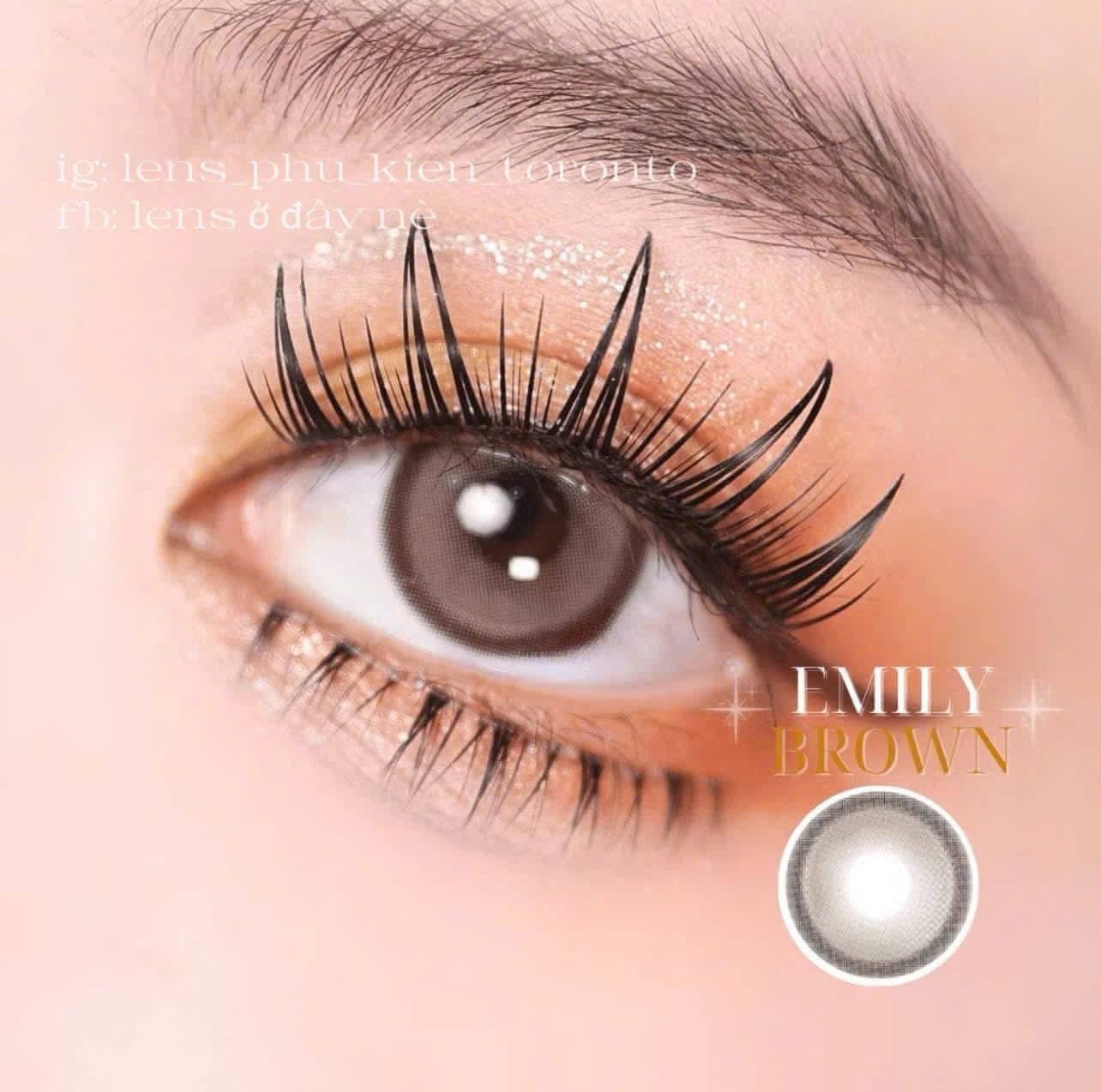 Contact Lens - Emily Brown