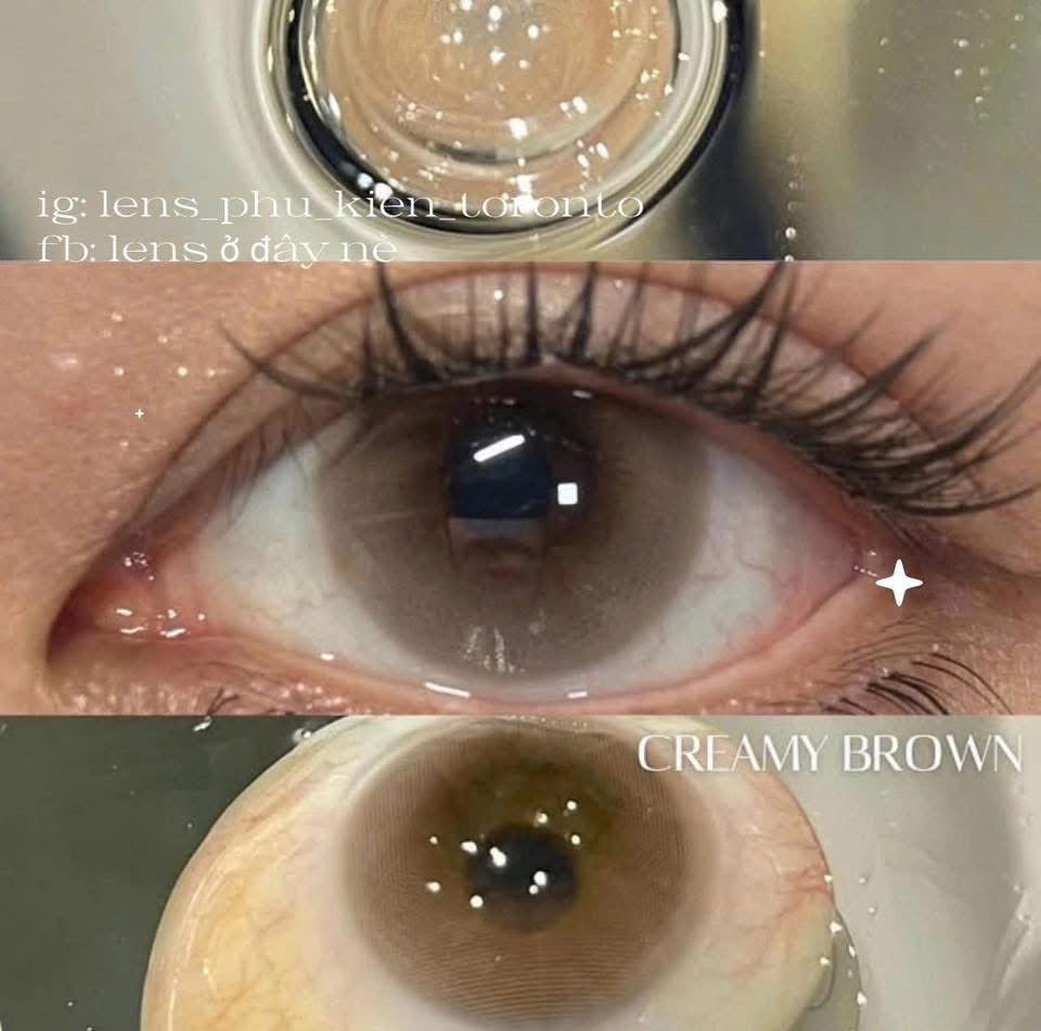 Contact Lens - Creamy Brown