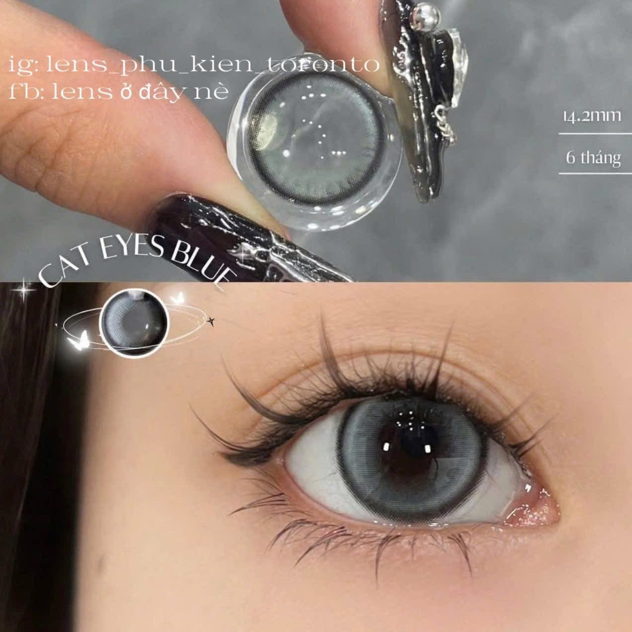Contact Lens - Cat Eyes Blue